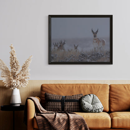 Chasing the Wild: Pronghorn Artwork to Capture Nature’s Untamed Spirit