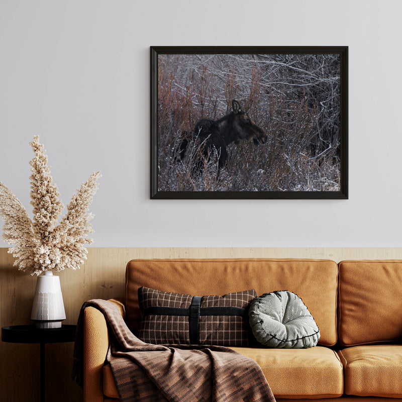 Majestic Moose Wall Art: Bring the Spirit of the Wild into Your Home