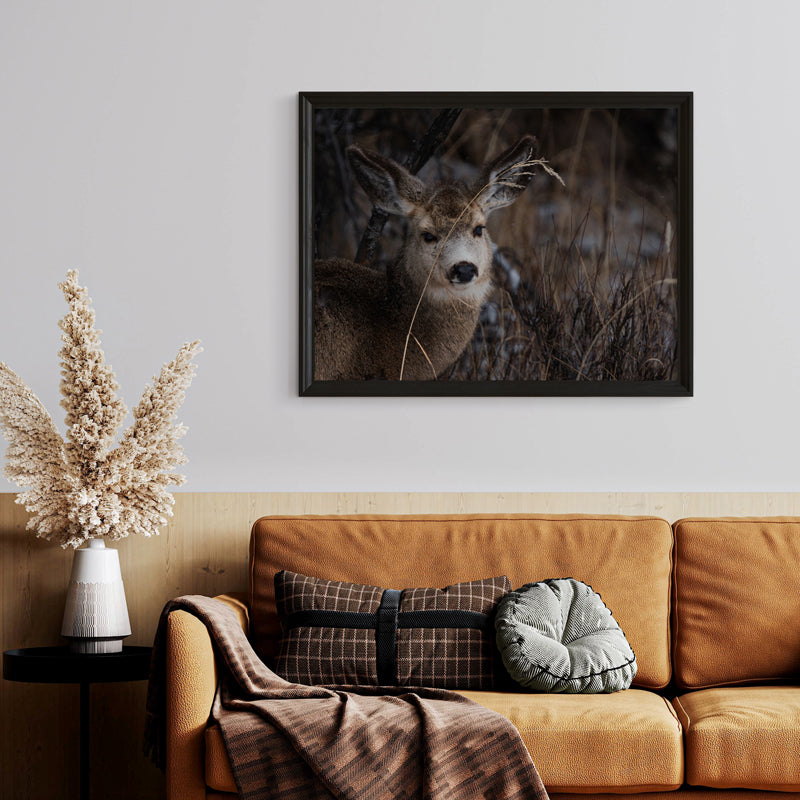 Nature’s Grace: A Winter Deer Print to Bring Wyoming’s Wilderness into Your Home