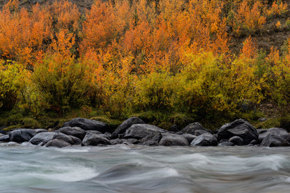 Green River, Wyoming in the Fall Home Decor Wall Art