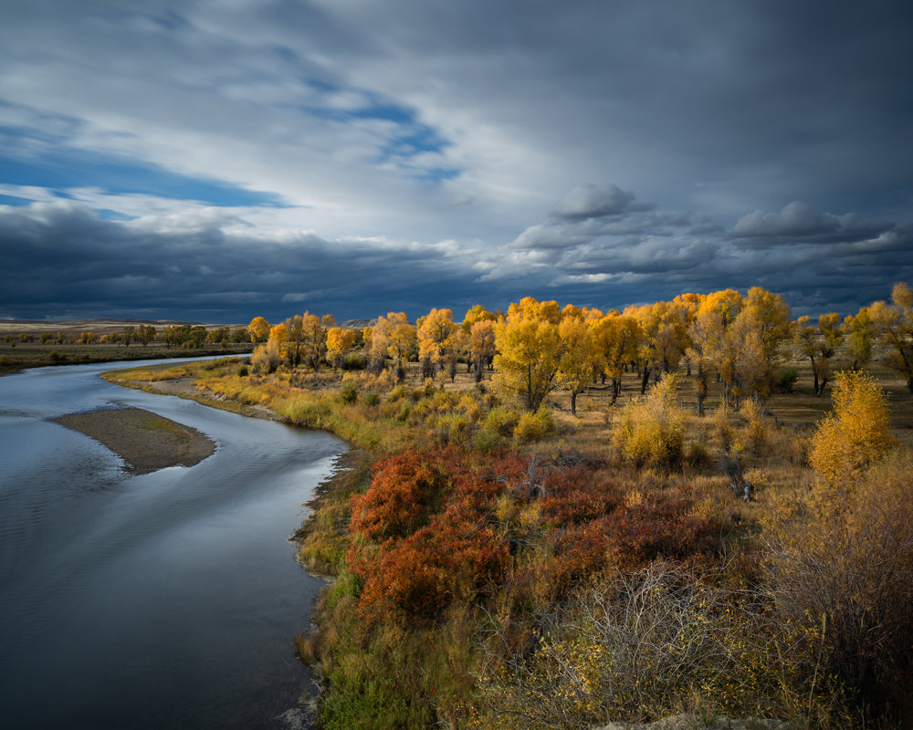 Wyoming&