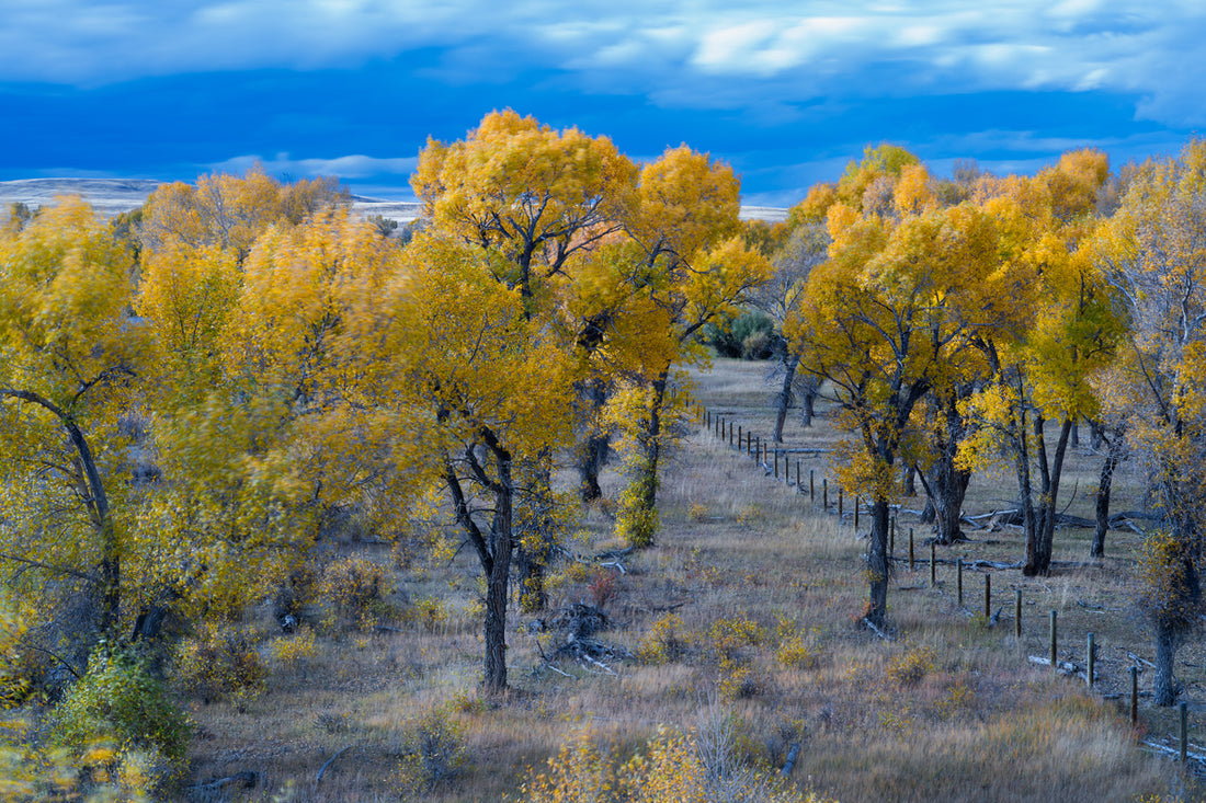 Wyoming Landscape in the Fall