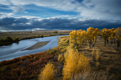 Fall Landscape