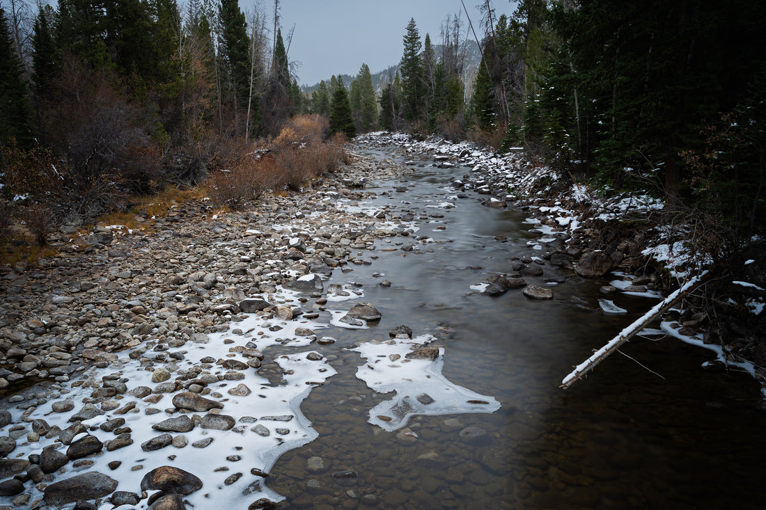 Boulder Creek Morning: A Sacred Pause in Nature’s Flow