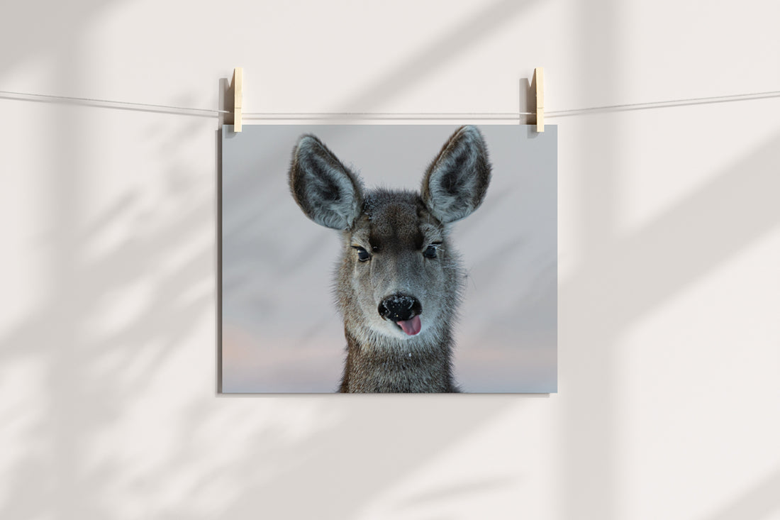 Deer Wall Art: Bringing the Gentle Spirit of Wyoming Into Your Home