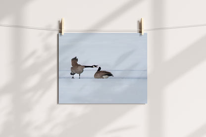 Bring Wyoming’s Wild Beauty Home with Canada Geese Wall Art