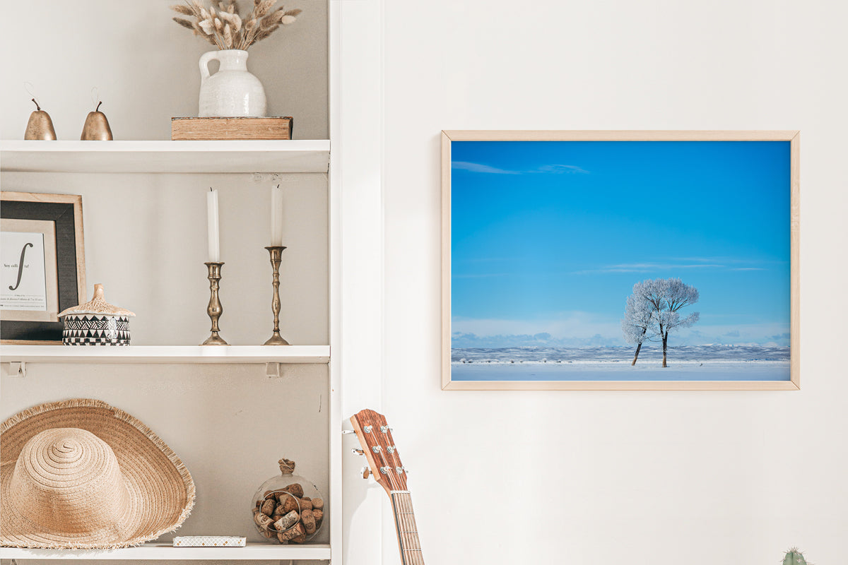 Enchanting Trees Wall Art: Embrace the Magic of Wyoming&