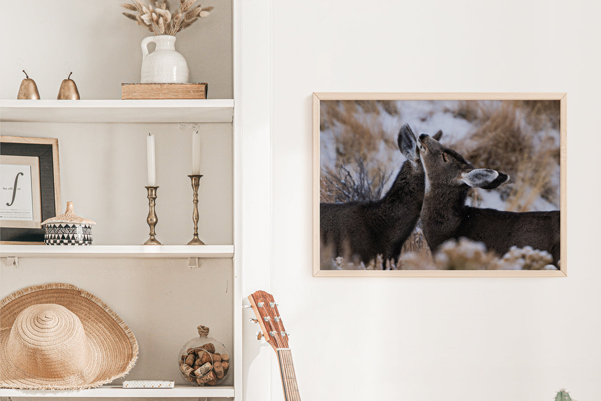 Deer Wall Art: Capturing the Tenderness of Wyoming&