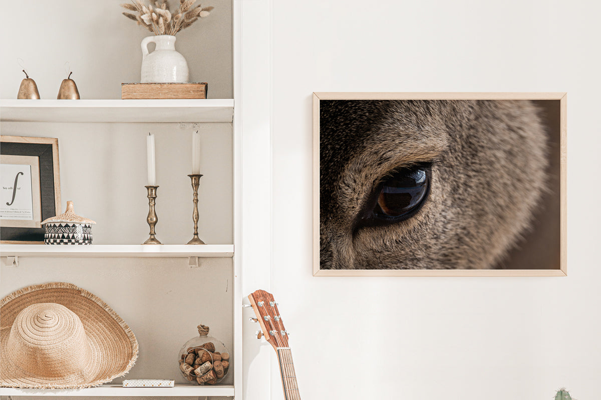 Close-Up Deer Wall Art: Capturing the Gentle Spirit of Wyoming