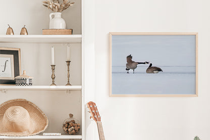 Bring Wyoming’s Wild Beauty Home with Canada Geese Wall Art