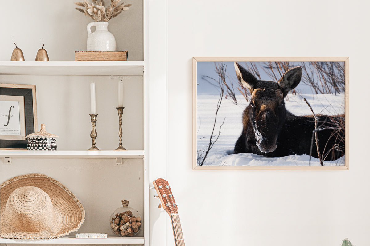 Majestic Moose Wall Art: Bring the Serenity of Wyoming’s Wildlife into Your Home