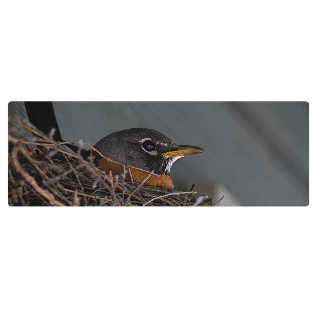 Mama Robin Yoga mat