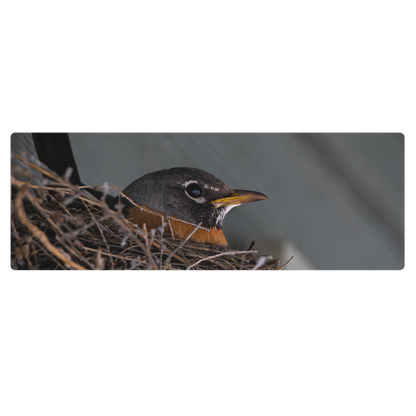 Mama Robin Yoga mat