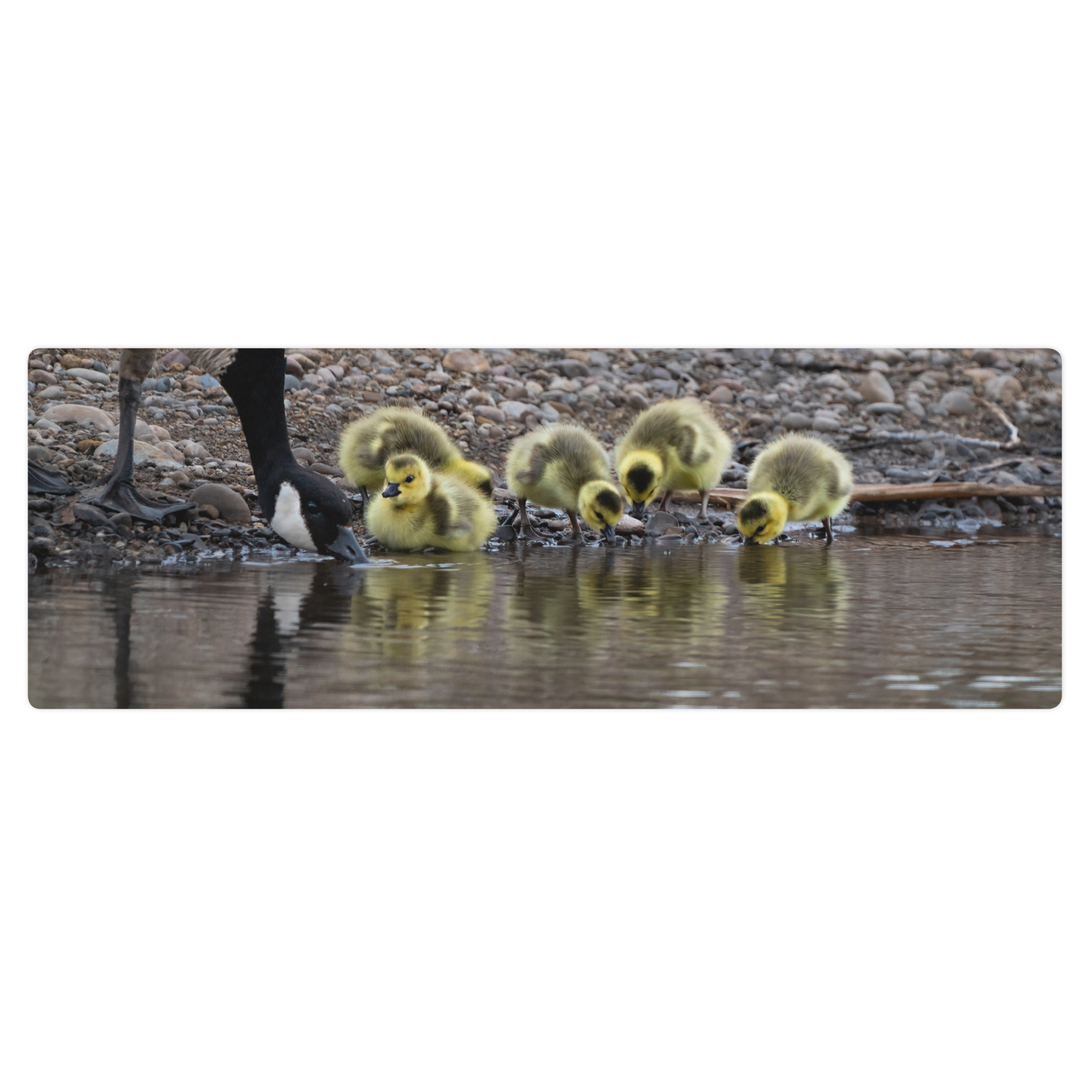 Goslings Yoga mat