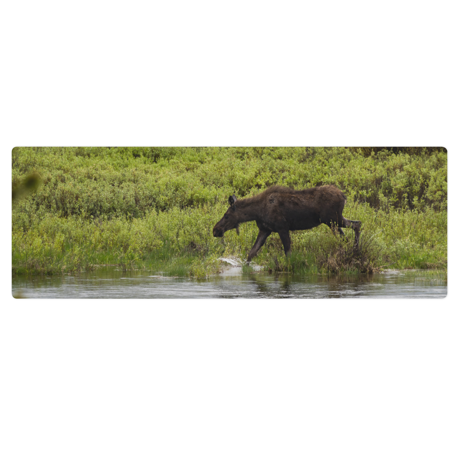 Moose Yoga mat