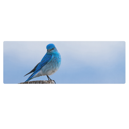 Mountain Bluebird Yoga mat