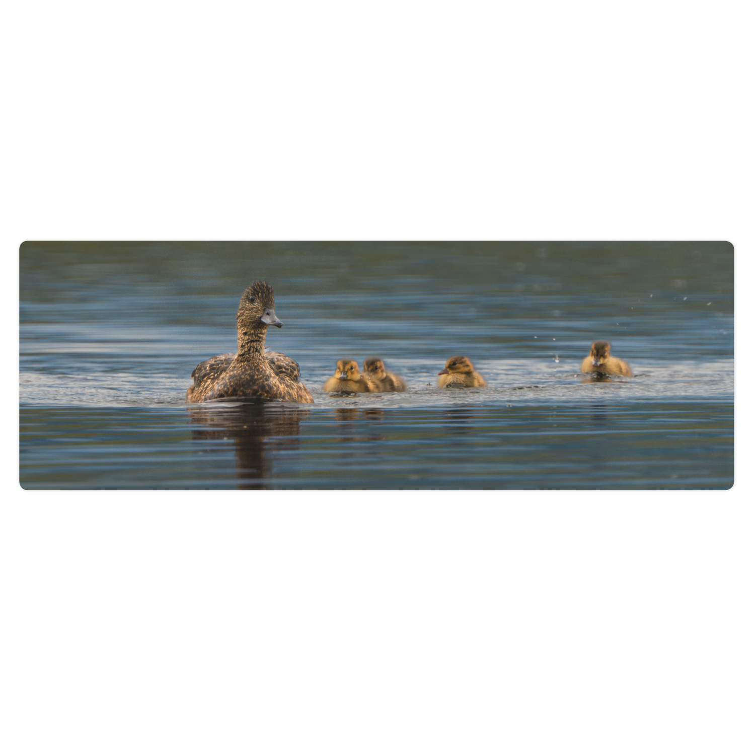 Duck Family Yoga mat