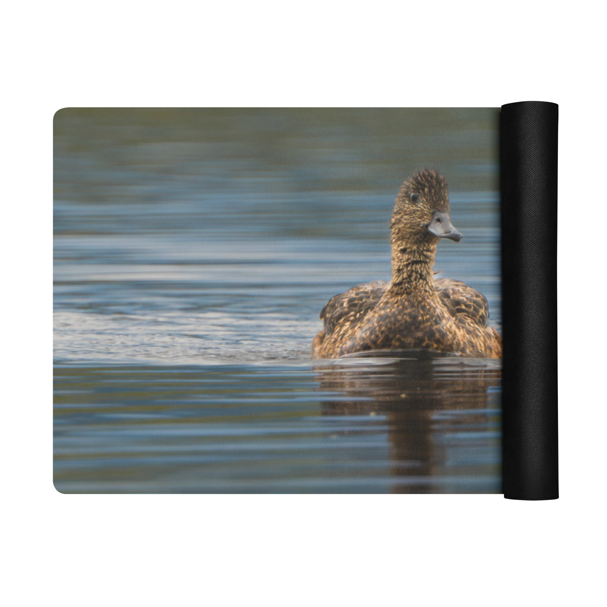 Duck Family Yoga mat