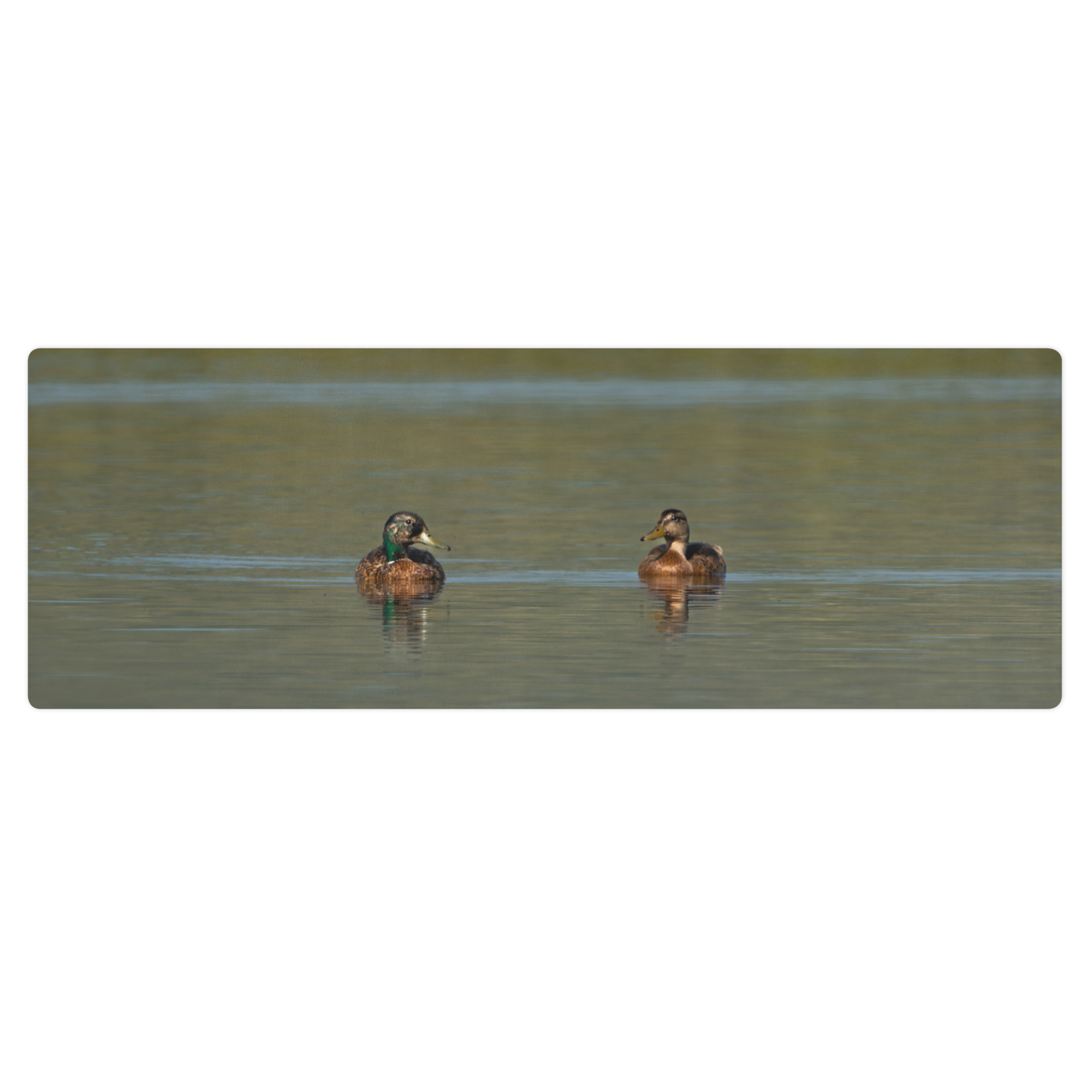 Ducks Yoga mat