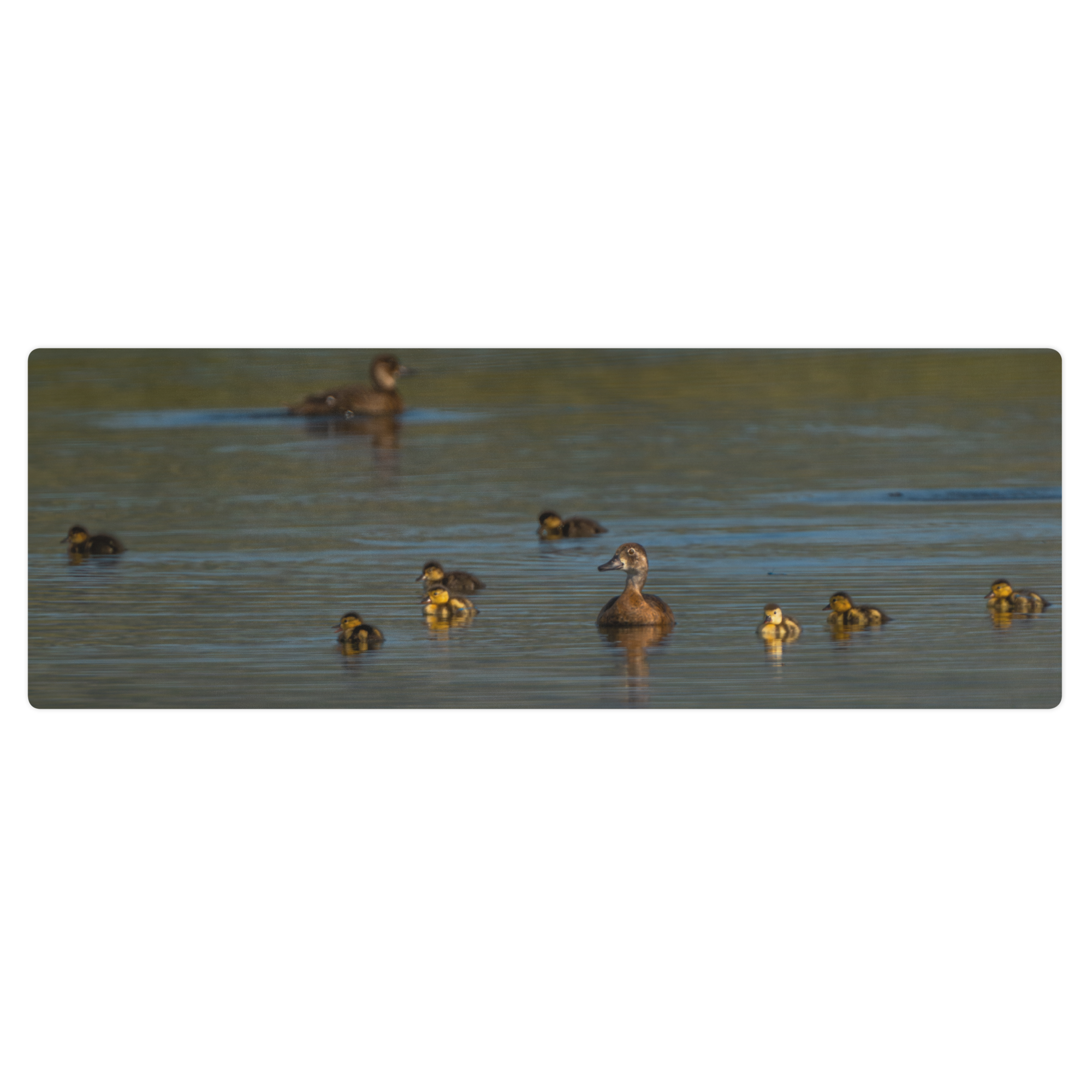 Ducks Yoga mat