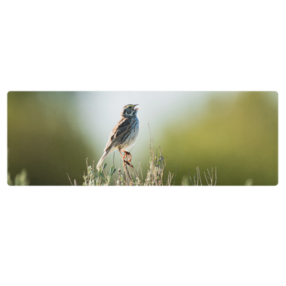 Song Sparrow Yoga mat