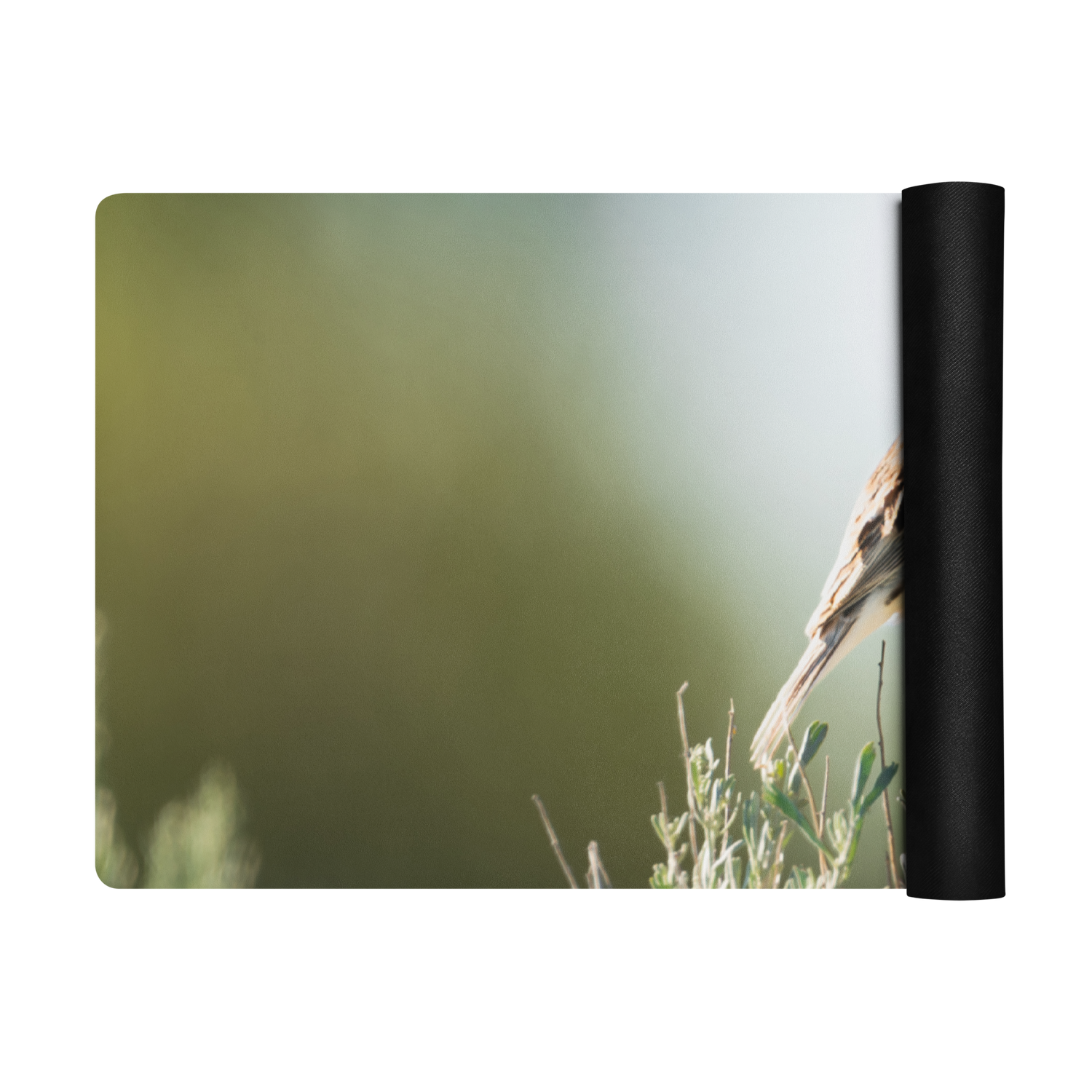 Song Sparrow Yoga mat