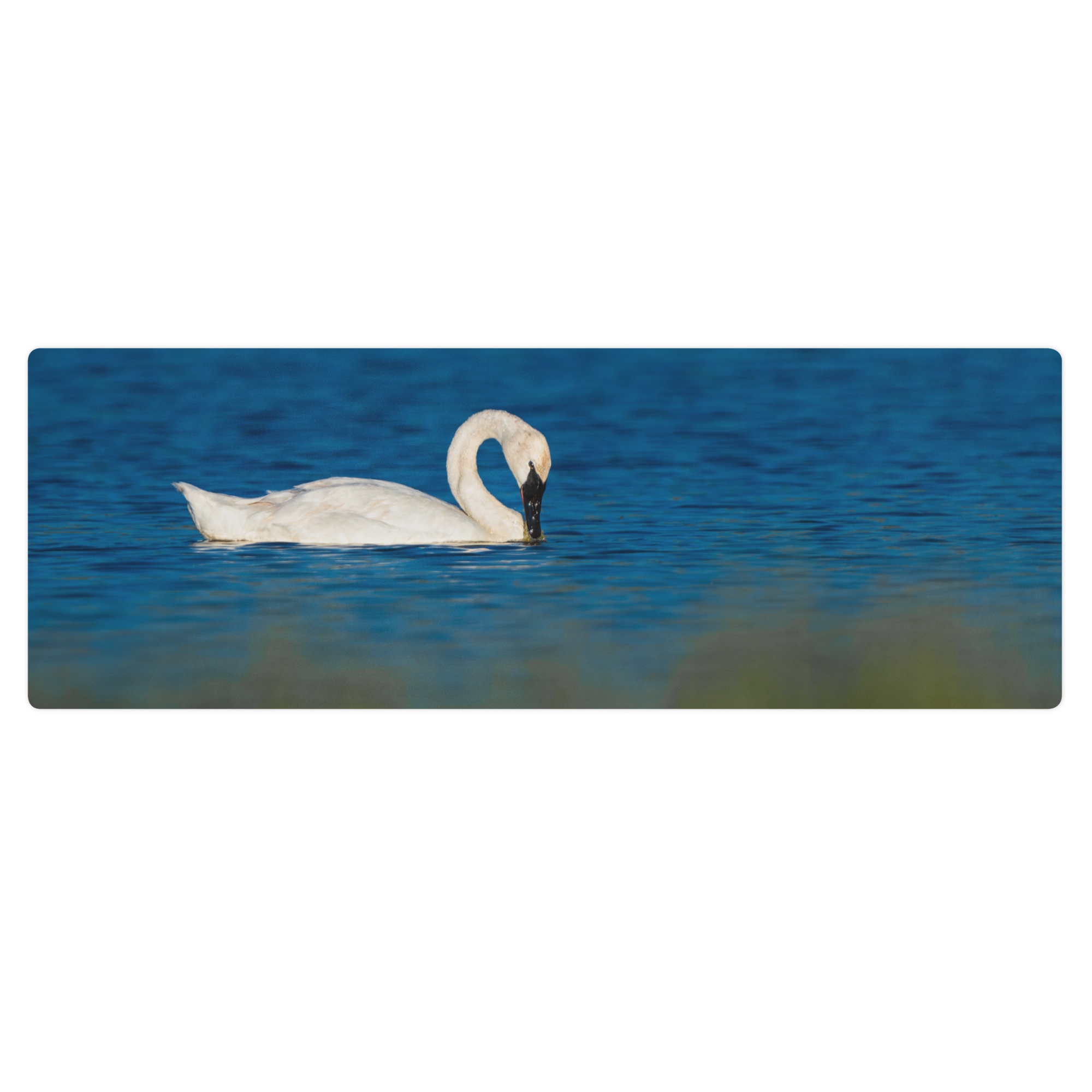 Swan Yoga mat