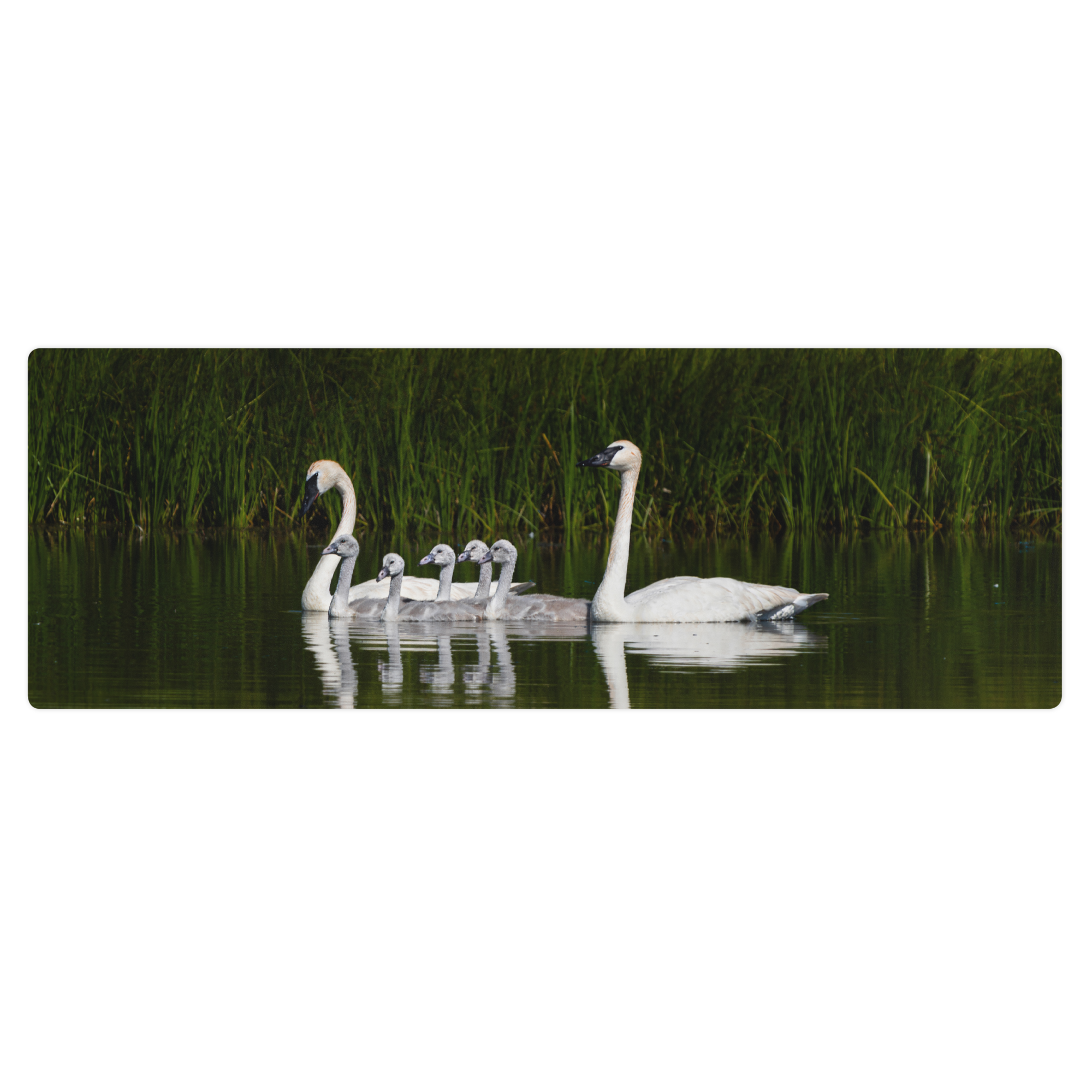 Swan Family Yoga mat