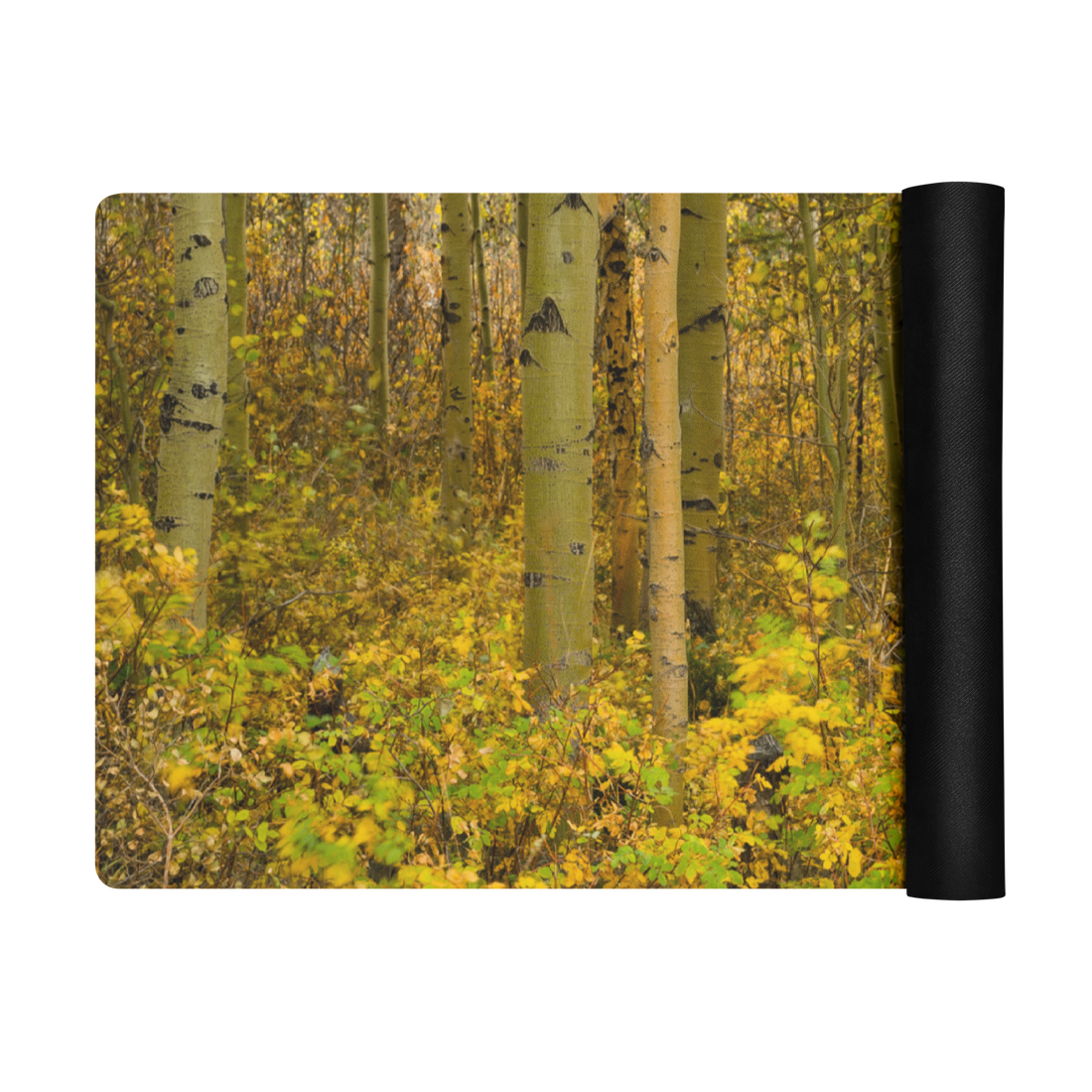 Close up Aspen Trees Yoga mat