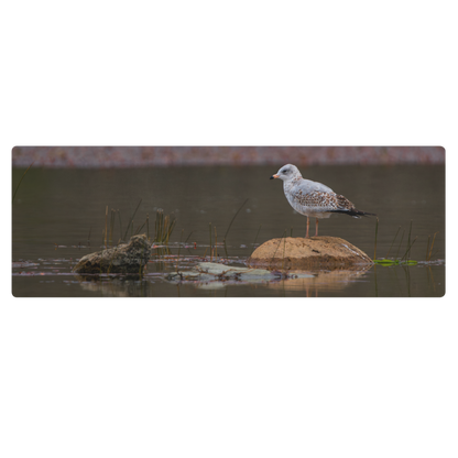 Ring-Billed Gull Yoga mat