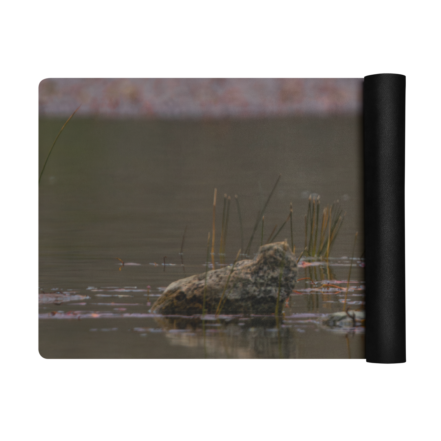 Ring-Billed Gull Yoga mat