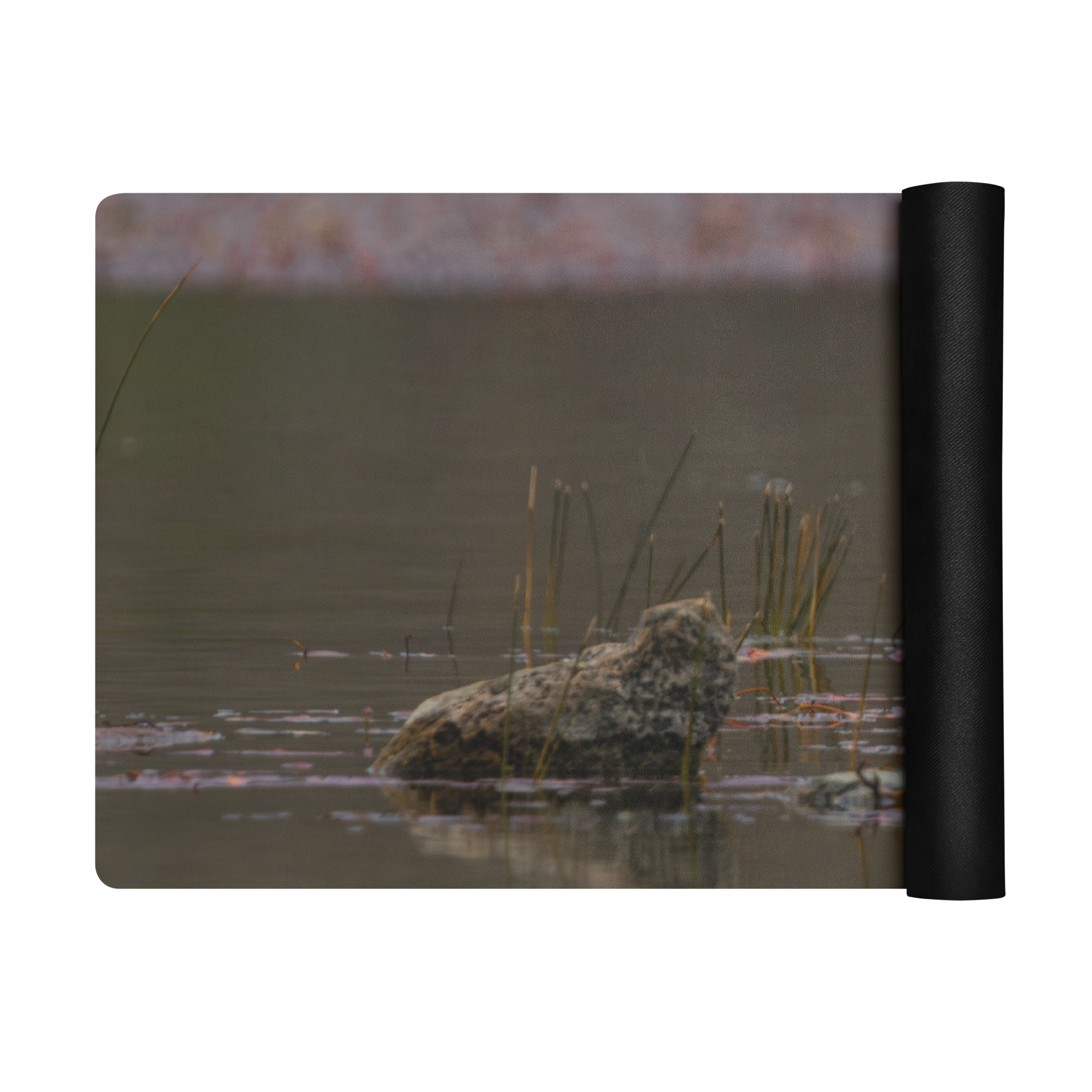 Ring-Billed Gull Yoga mat