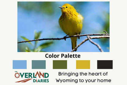 Yellow Warbler - The Overland Diaries