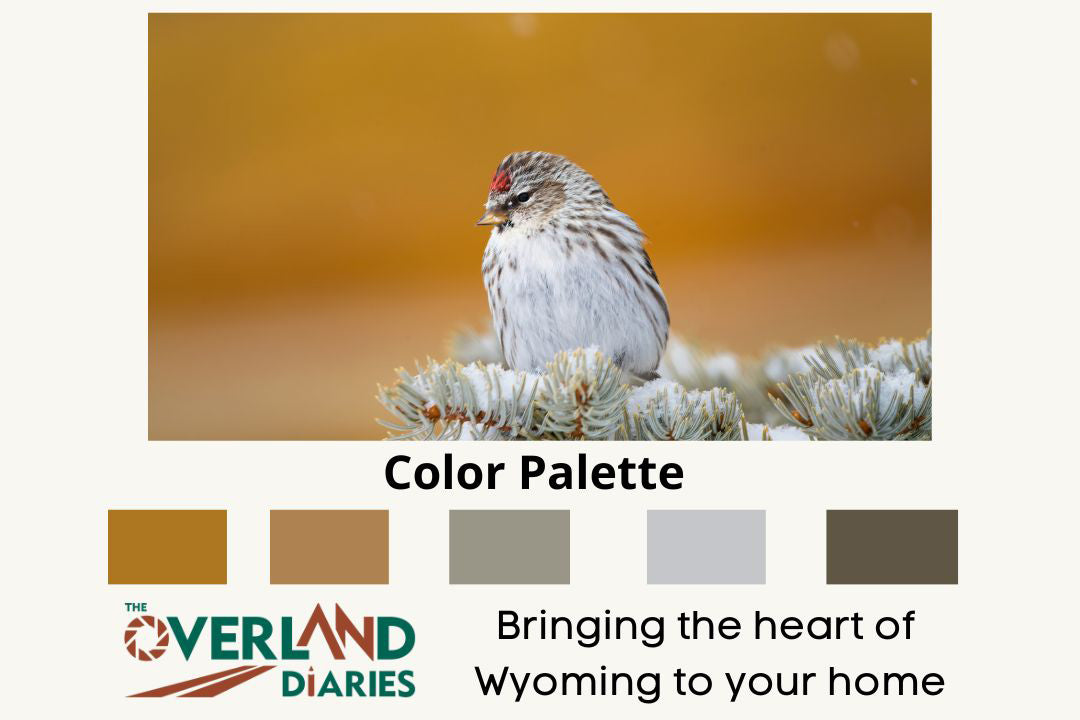 Wildlife Decor: Common Redpoll - The Overland Diaries