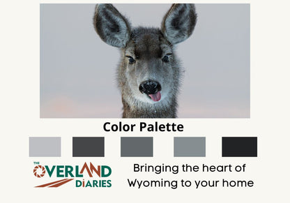 Deer Funny Face - The Overland Diaries