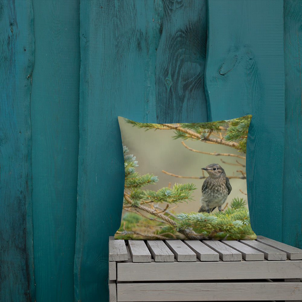 Female Mountain Bluebird Premium Pillow - The Overland Diaries