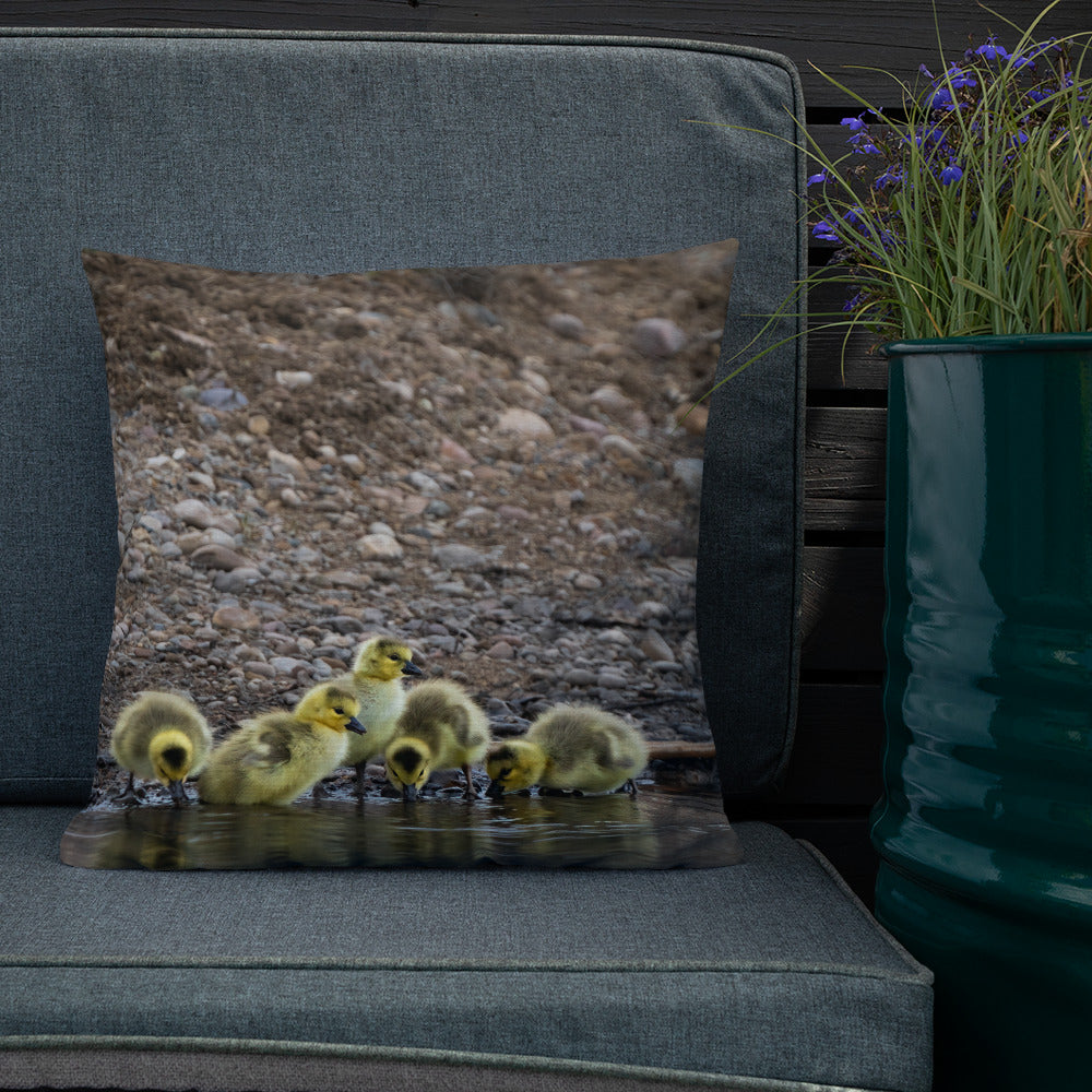 Goslings Premium Pillow - The Overland Diaries