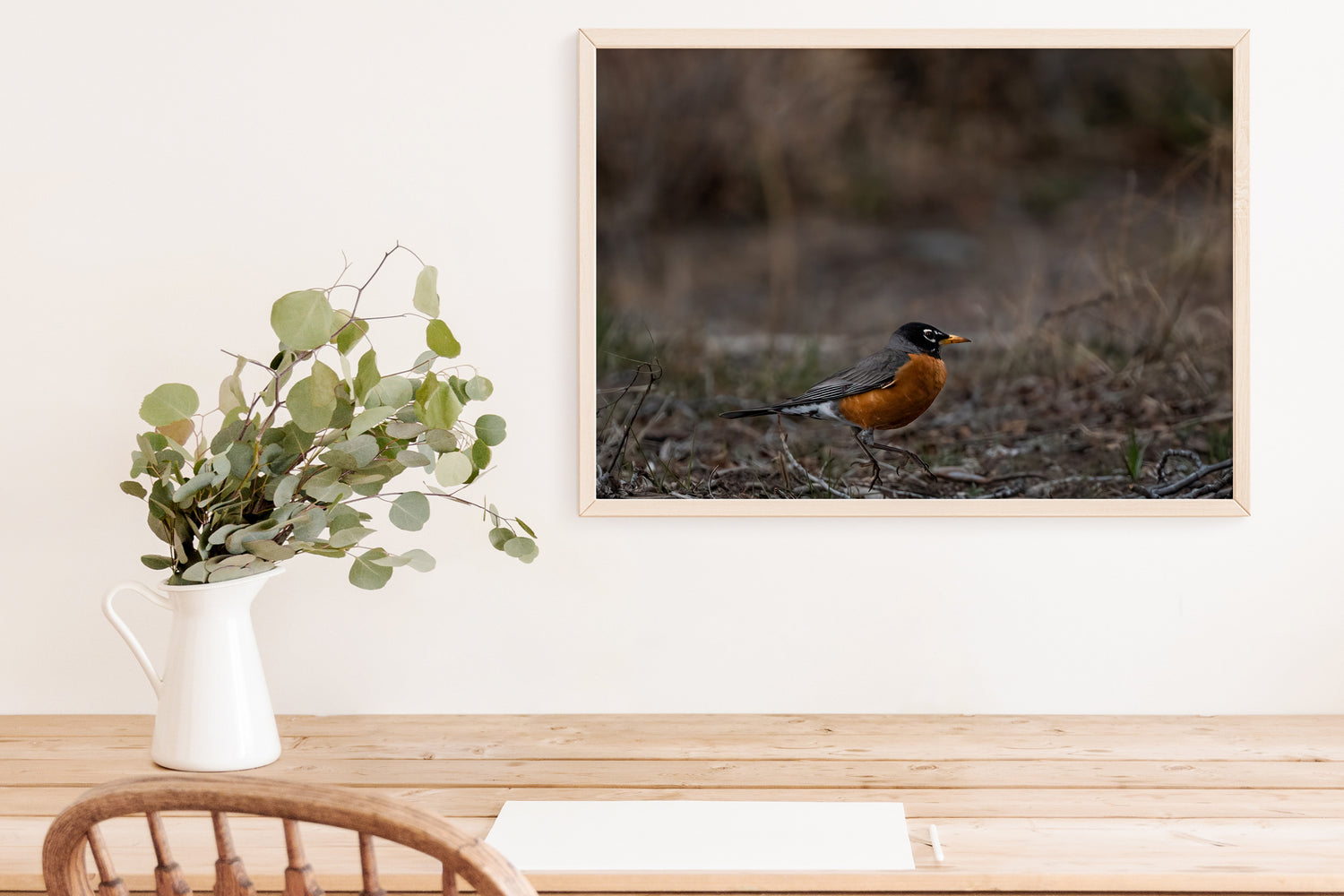 Bird Photography: Bobbin Robin - The Overland Diaries