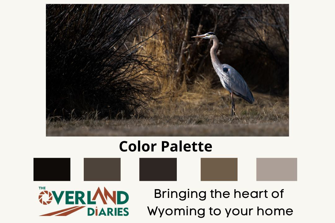 Blue Heron Nature Wall Art: Blue Heron - The Overland Diaries