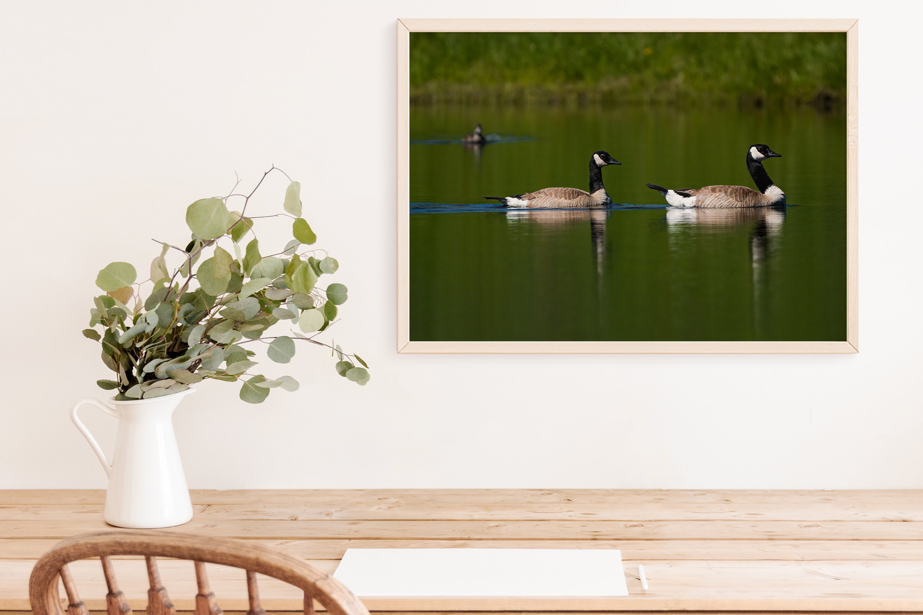 Couple of Canada Geese Photograph - The Overland Diaries