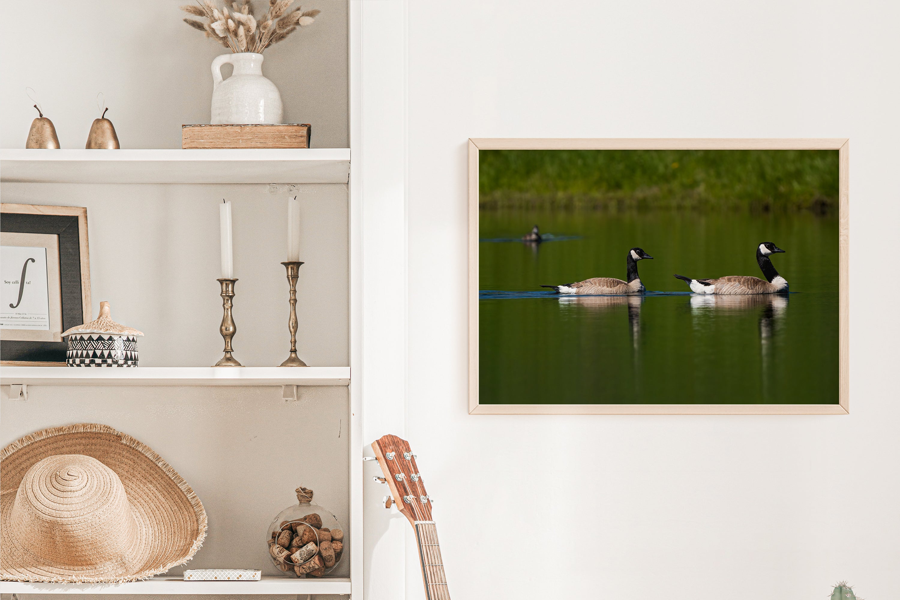 Couple of Canada Geese Photograph - The Overland Diaries