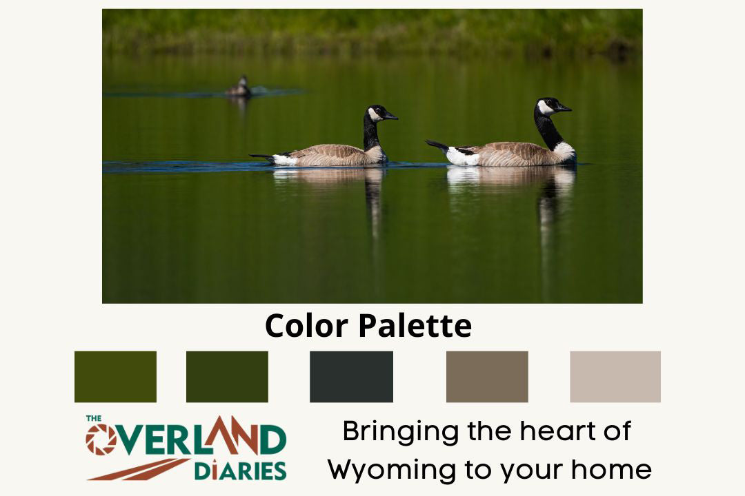 Couple of Canada Geese Photograph - The Overland Diaries