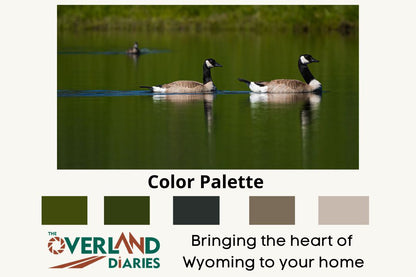 Couple of Canada Geese Photograph - The Overland Diaries