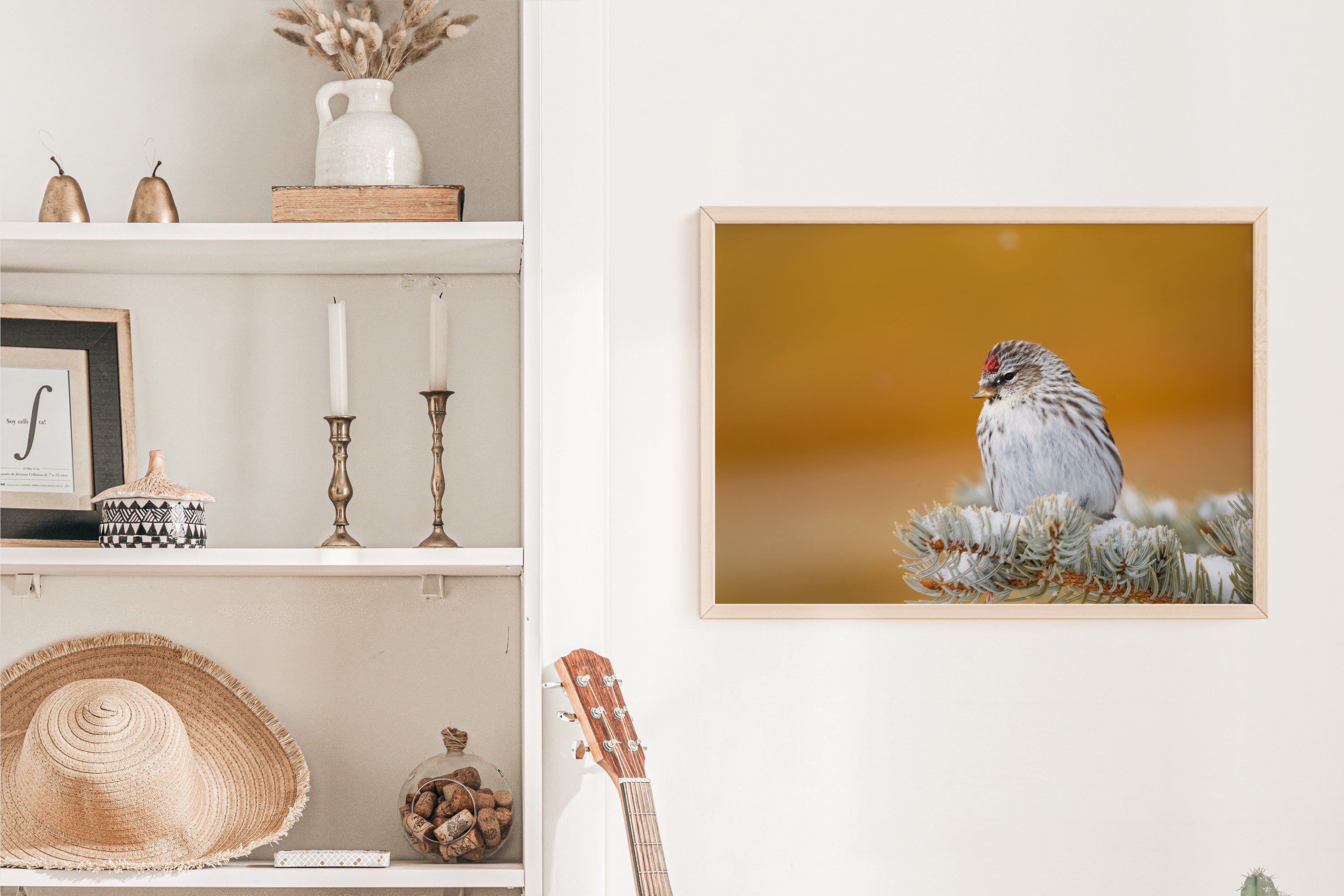 Wildlife Decor: Common Redpoll - The Overland Diaries