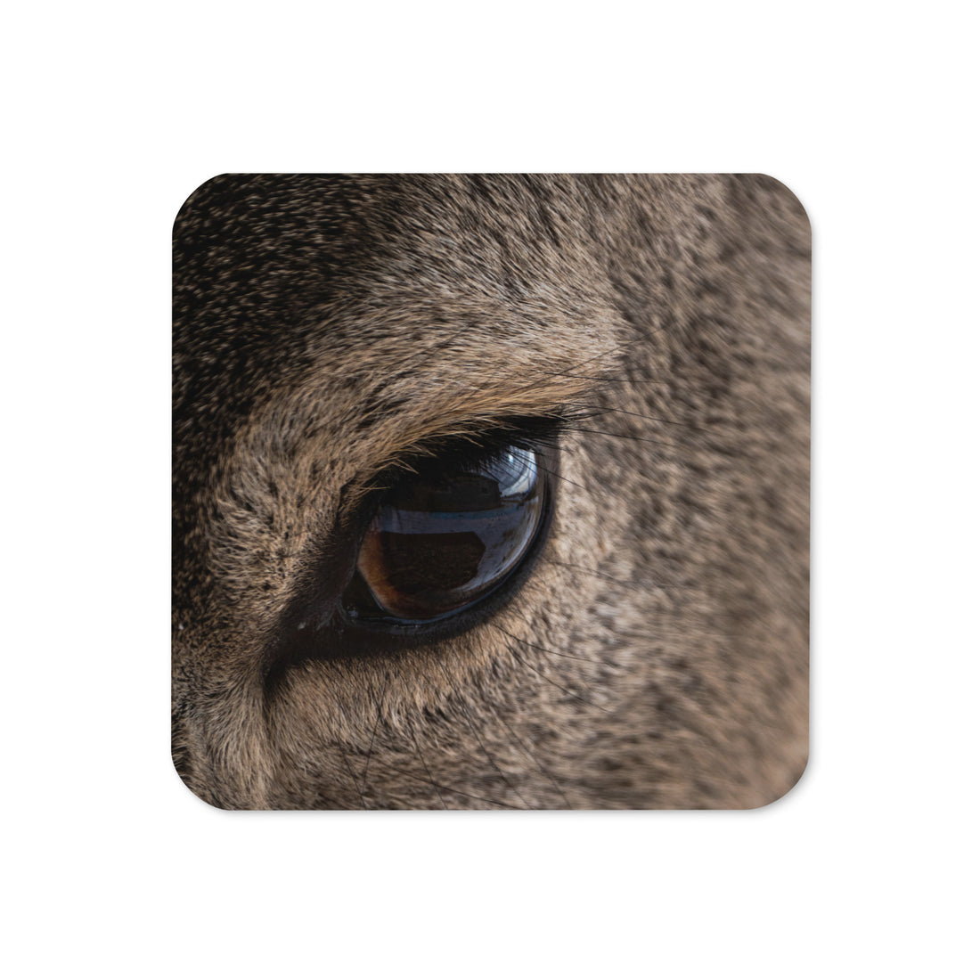 Close-Up Deer Eye Cork-Back Coaster - The Overland Diaries
