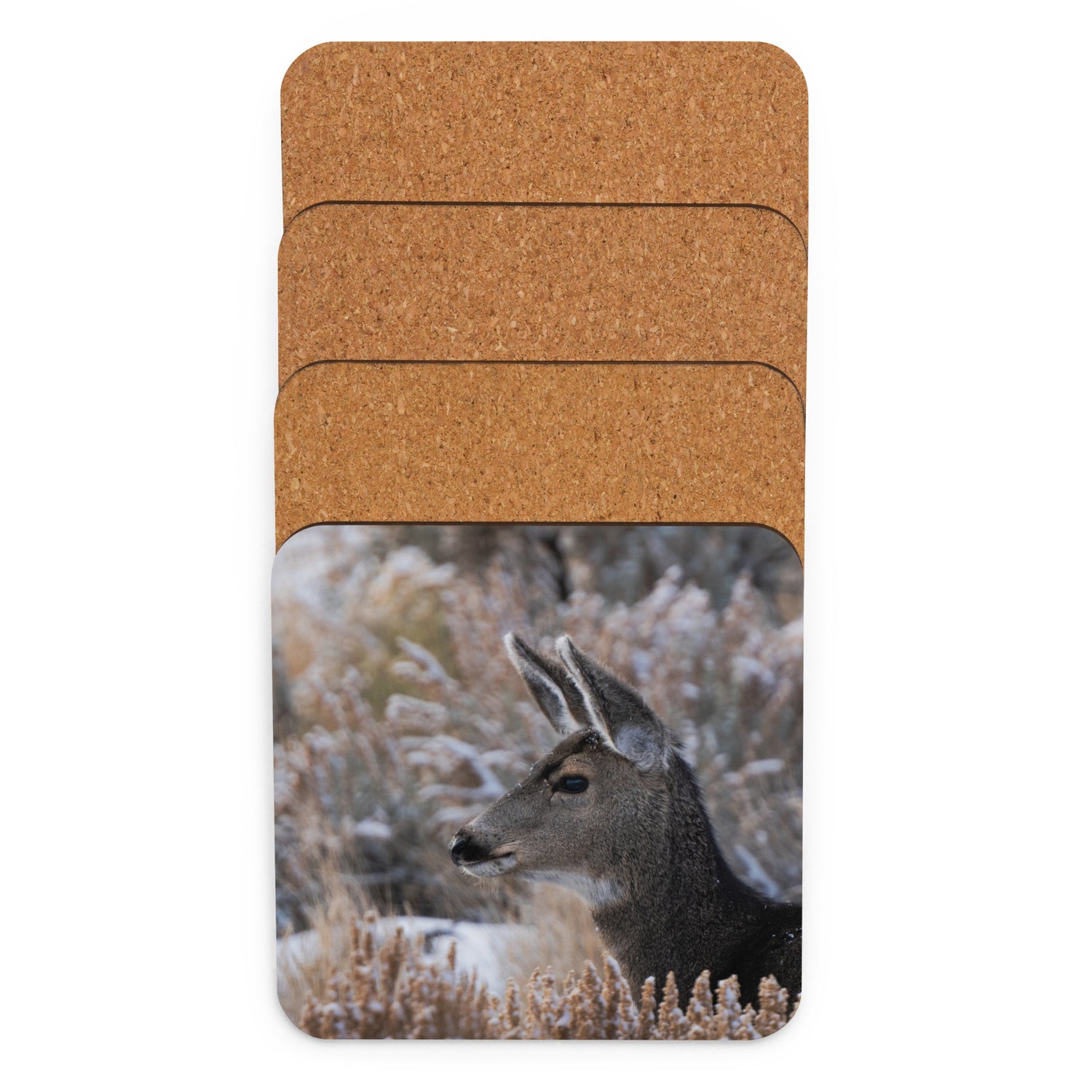 Mule Deer Fawn Cork-Back Coaster - The Overland Diaries