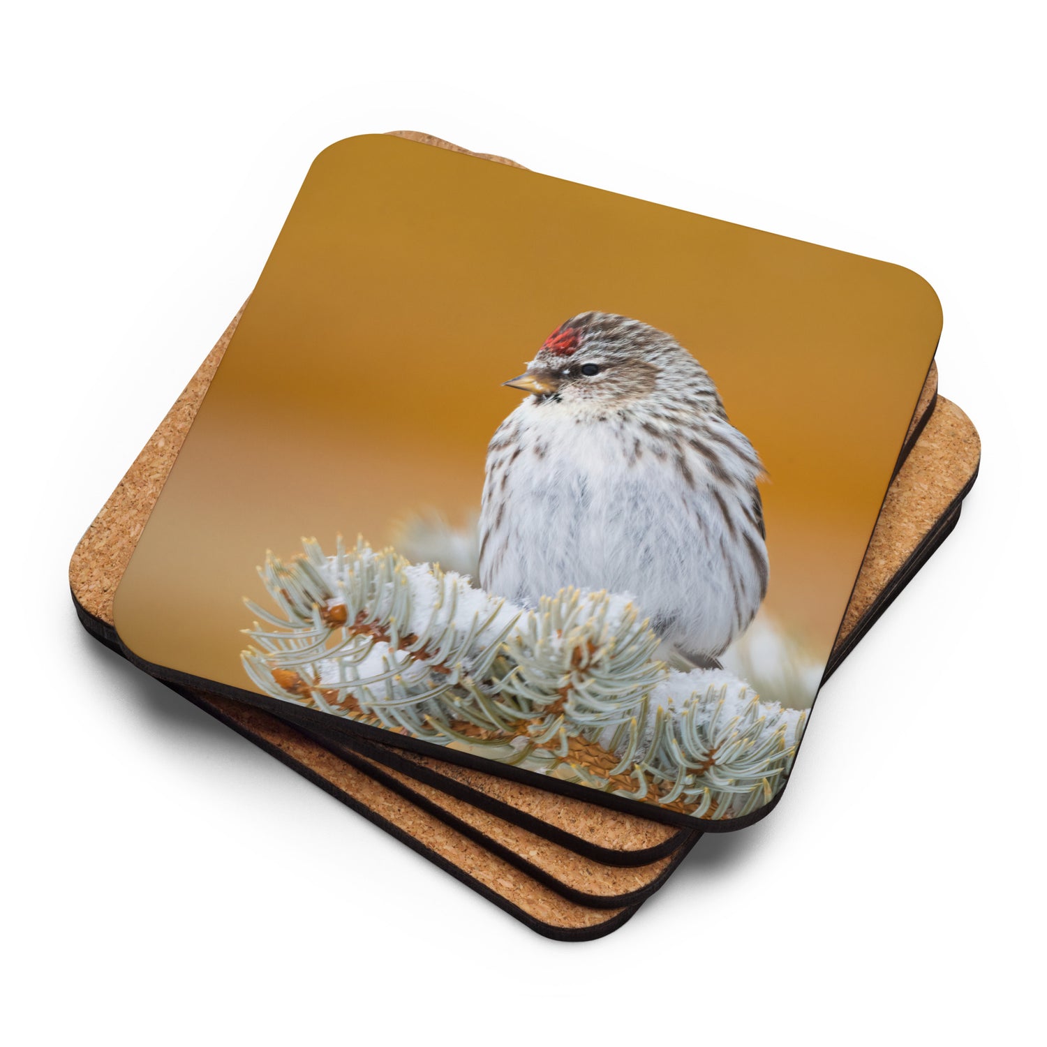 Gift Bird Lover Cork-Back Coaster - The Overland Diaries