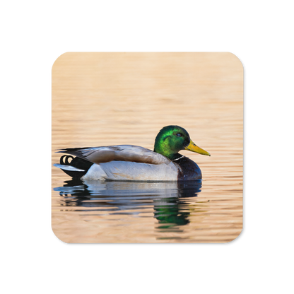Home Decor Wildlife Cork-Back Coaster - The Overland Diaries