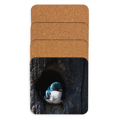 Tree Swallow Cork-Back Coaster - The Overland Diaries