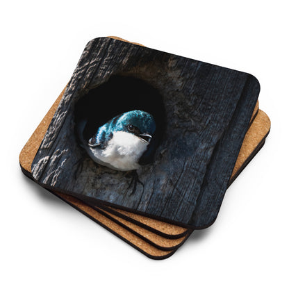 Tree Swallow Cork-Back Coaster - The Overland Diaries
